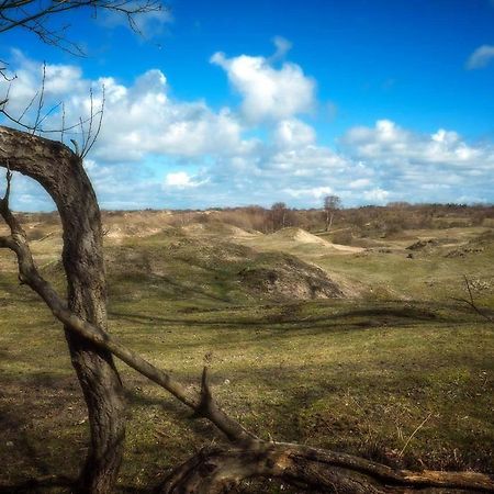 Hogezoom 131 Villa Renesse Eksteriør billede