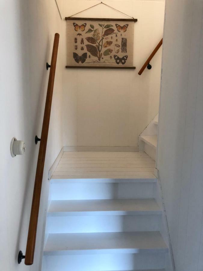 Hogezoom 131 Villa Renesse Eksteriør billede